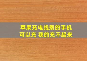 苹果充电线别的手机可以充 我的充不起来